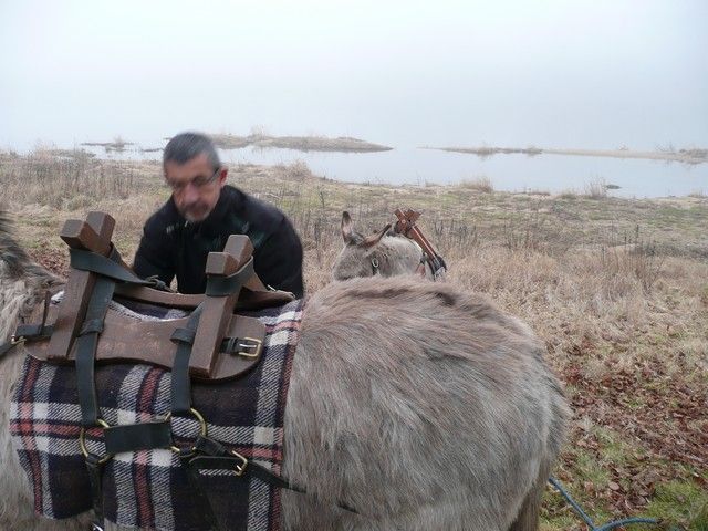 Loire Propre 2012 (6).jpg